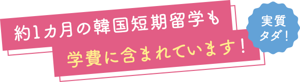 約1カ月の韓国短期留学も学費に含まれています！実質 タダ！