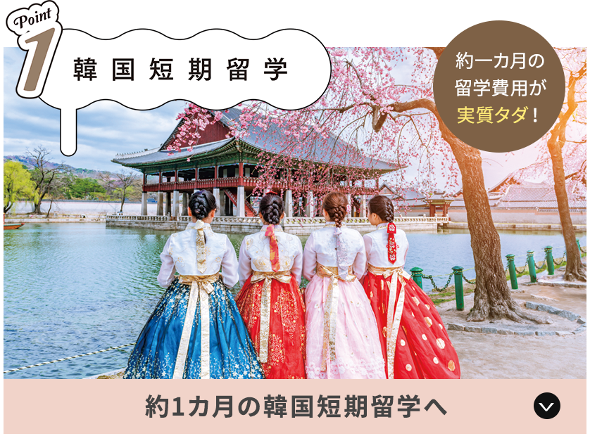 約1カ月の韓国短期留学へ