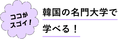 韓国の名門大学で学べる!