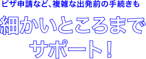 ビザ申請など、複雑な出発前の手続きも細かいところまでサポート!